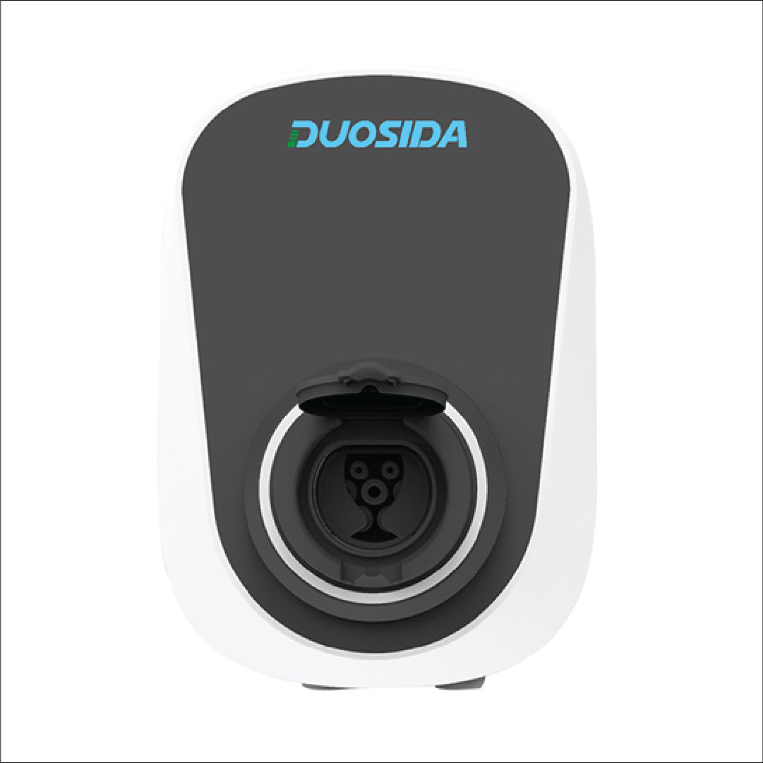 Duosida-Wall Charger copy