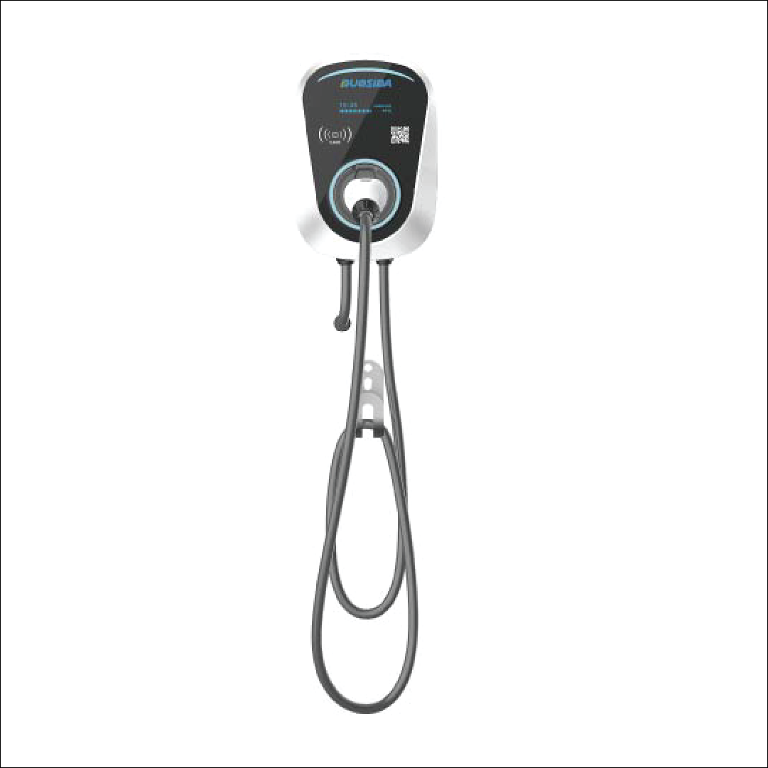 Duosida-Wall Charger