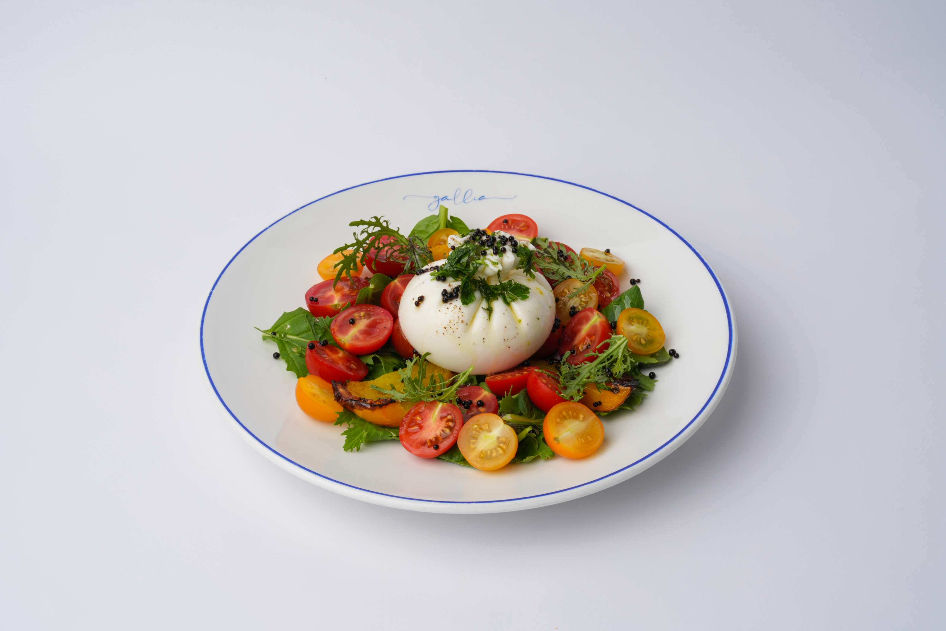 Creamy-Burrata