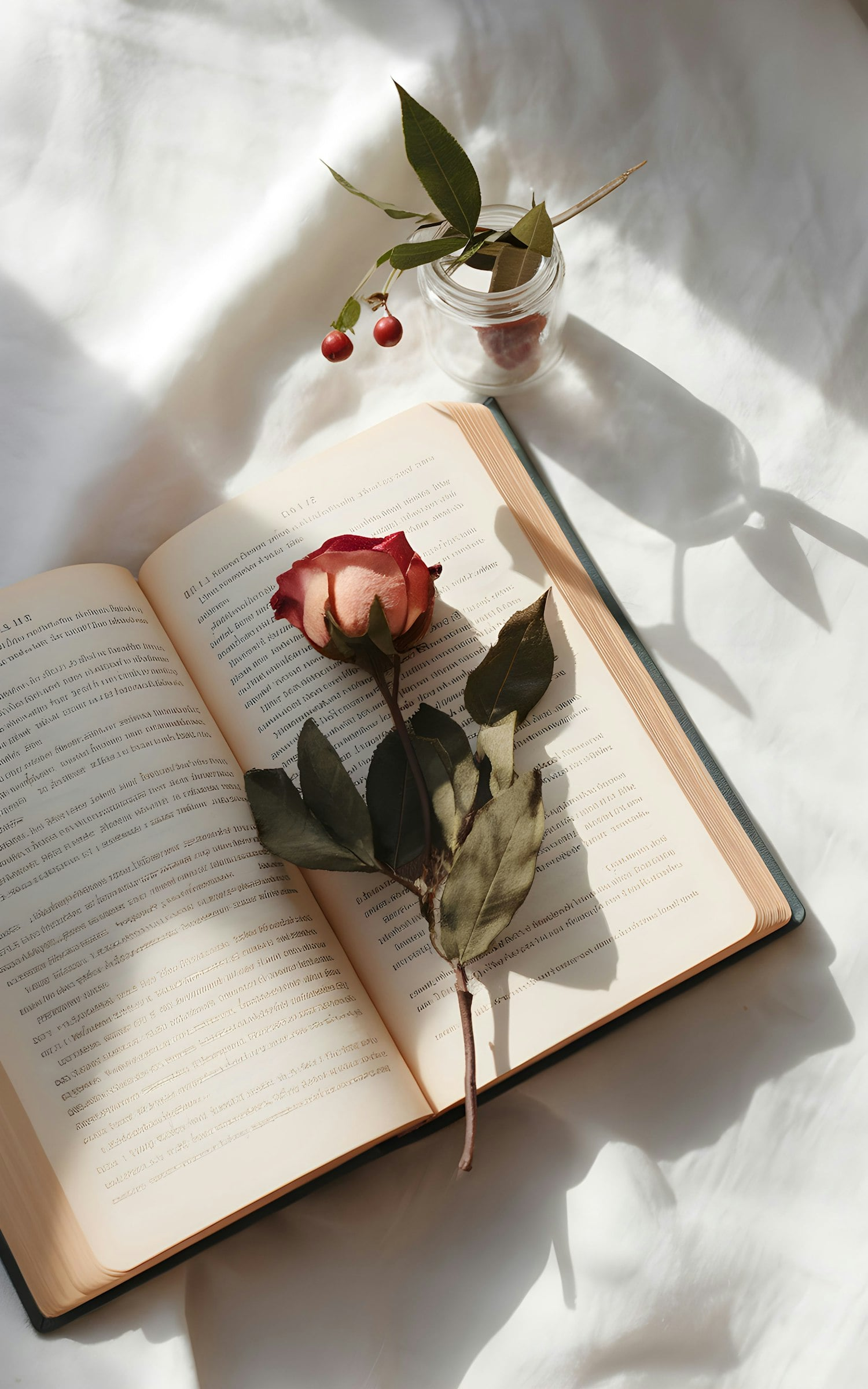 Serene Still Life with Book and Dried Rose-min