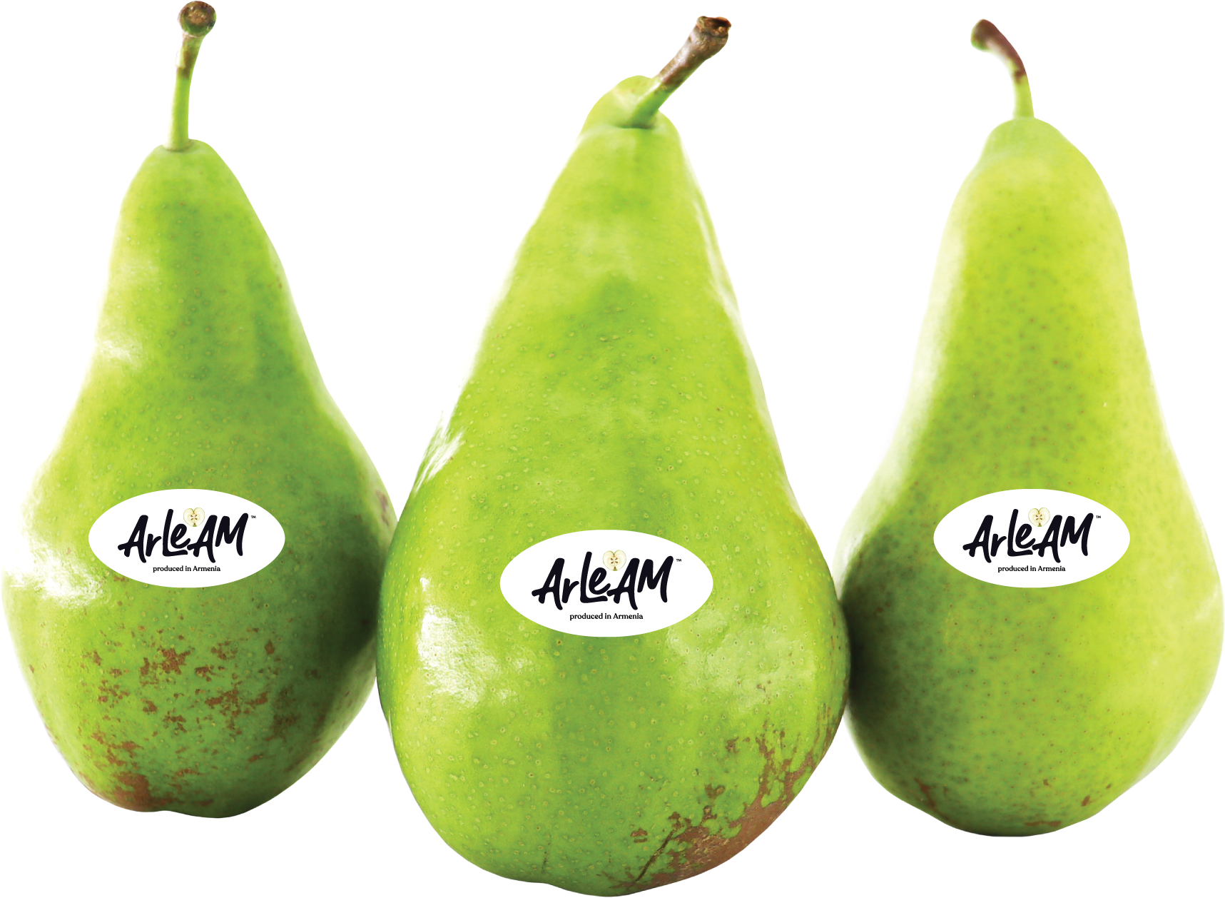 conference-pear